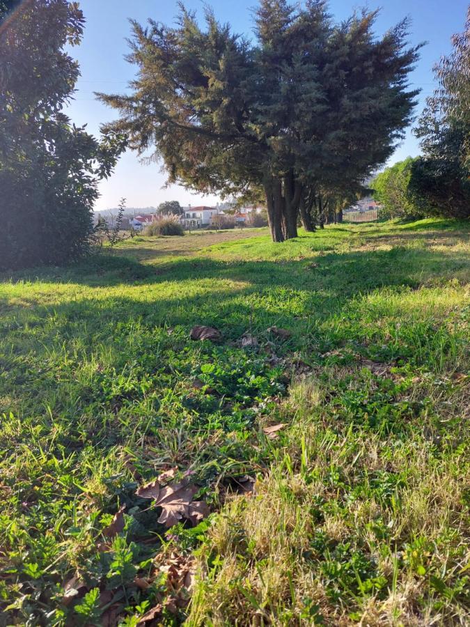 הוילה סאו לואיס Quinta Cunte - Casa Sobreiro מראה חיצוני תמונה