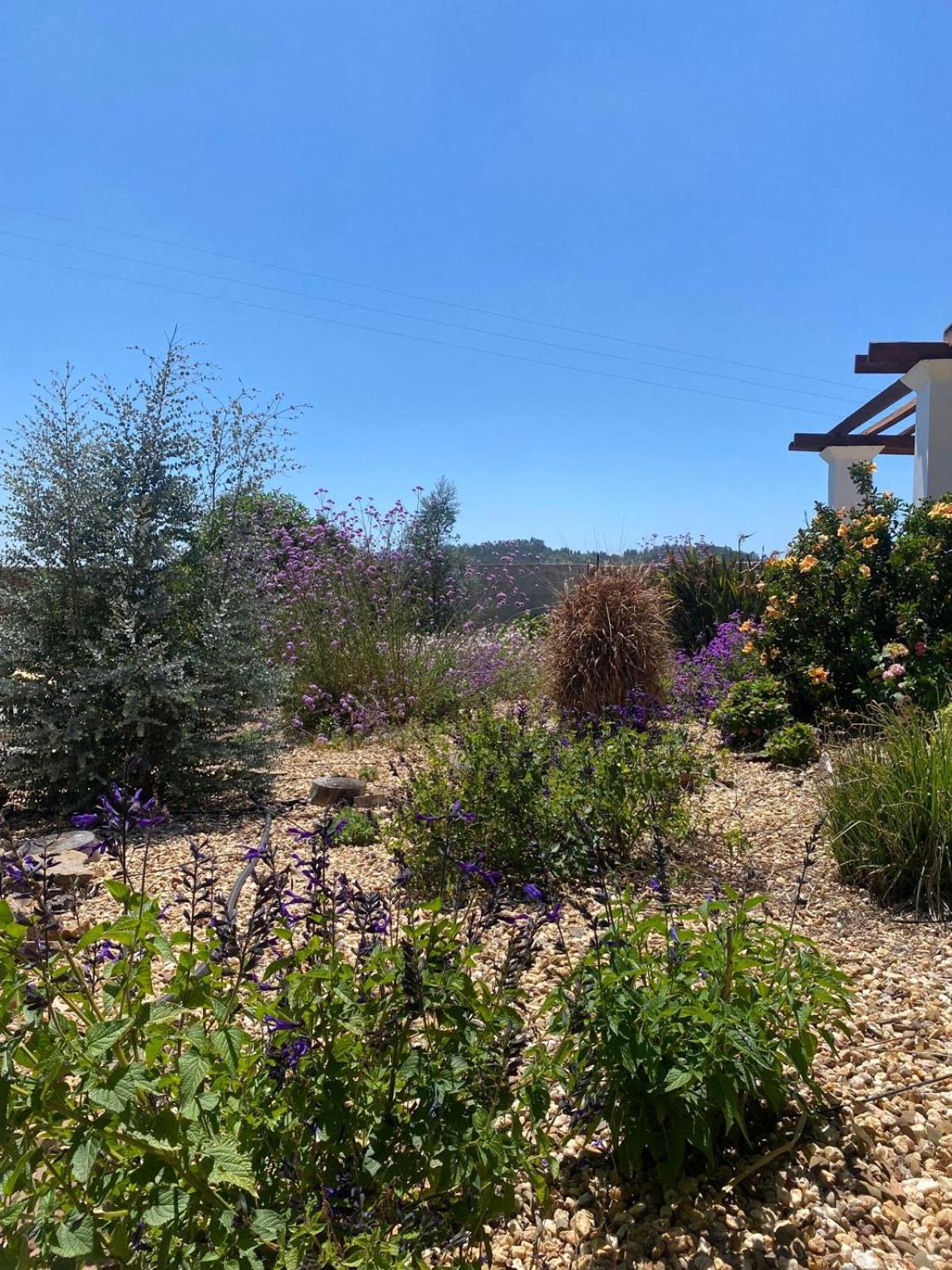 הוילה סאו לואיס Quinta Cunte - Casa Sobreiro מראה חיצוני תמונה